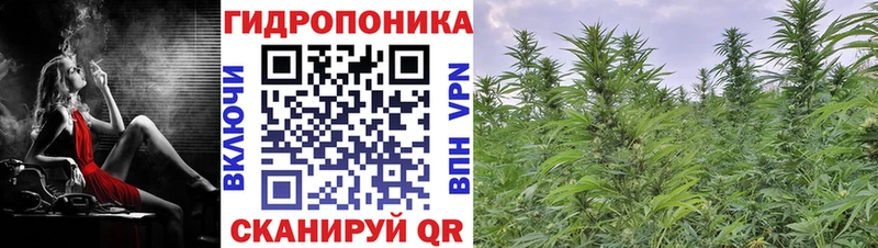 Канабис MAZAR  Карабаново 